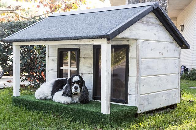 Hundehütte aus Holz mit Hund